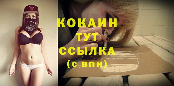 стафф Арсеньев