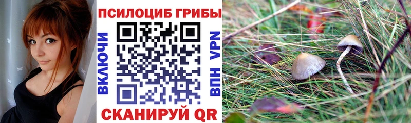 Псилоцибиновые грибы Magic Shrooms  купить   Усть-Катав 